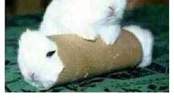 最近热门事件合集吃瓜兔,近期热门事件合集深度解析